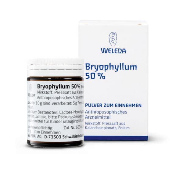 BRYOPHYLLUM 50% Pulver zum Einnehmen