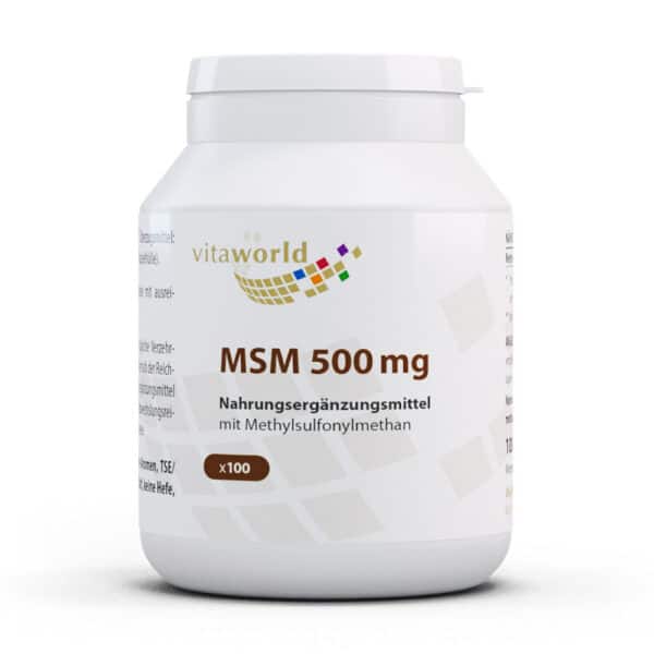 Vitaworld MSM 500mg